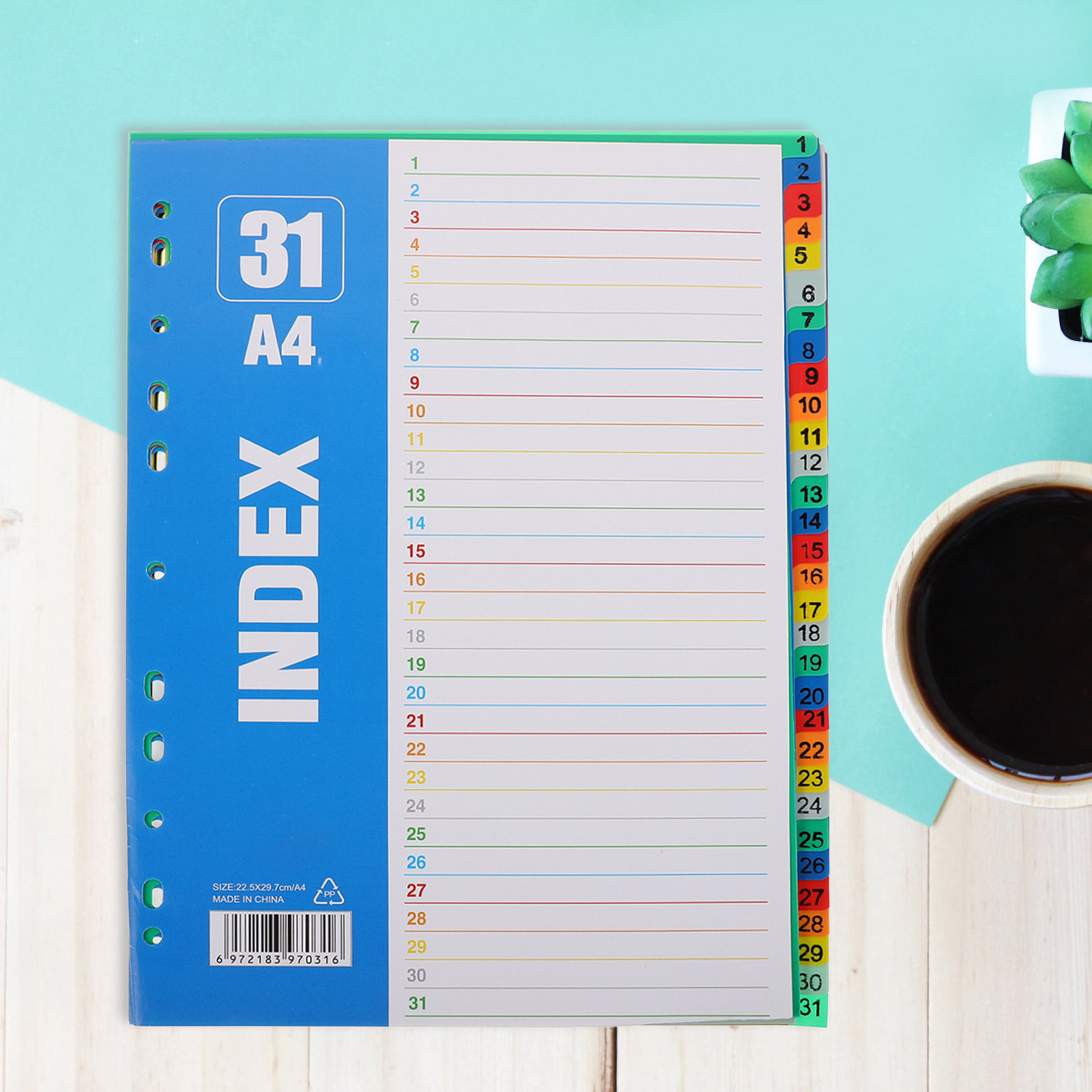 1 set A4 11-gaats plastic inde - Tab Divider A4 recensie en prijs