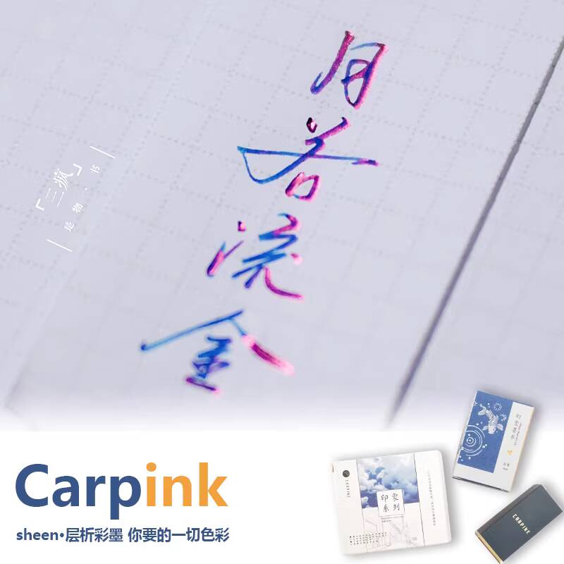 Carpink Non-Carbon Vulpen Inkt - Fountain Pen Bottled Ink recensie en prijs