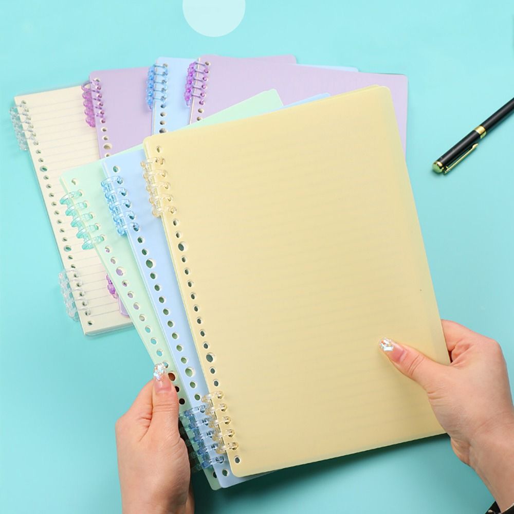 10 Stuks Binding Stekels Snap  - Binder A4 Lever recensie en prijs